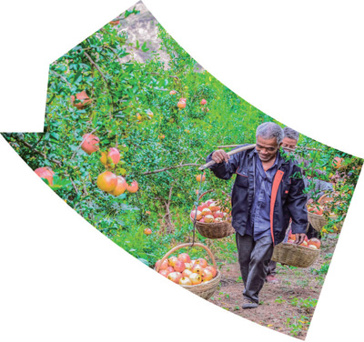 
广东省人民医院黄牛代挂号电话票贩子号贩子网上预约挂号,住院检查加快,事关战略全局、长远发展和人民福祉（新时代画卷）