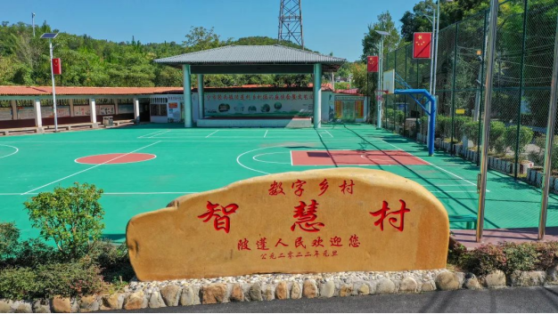 
北京宣武医院黄牛代挂号电话票贩子号贩子网上预约挂号,住院检查加快,“网络强村”，一场“以长补短”的广东实践