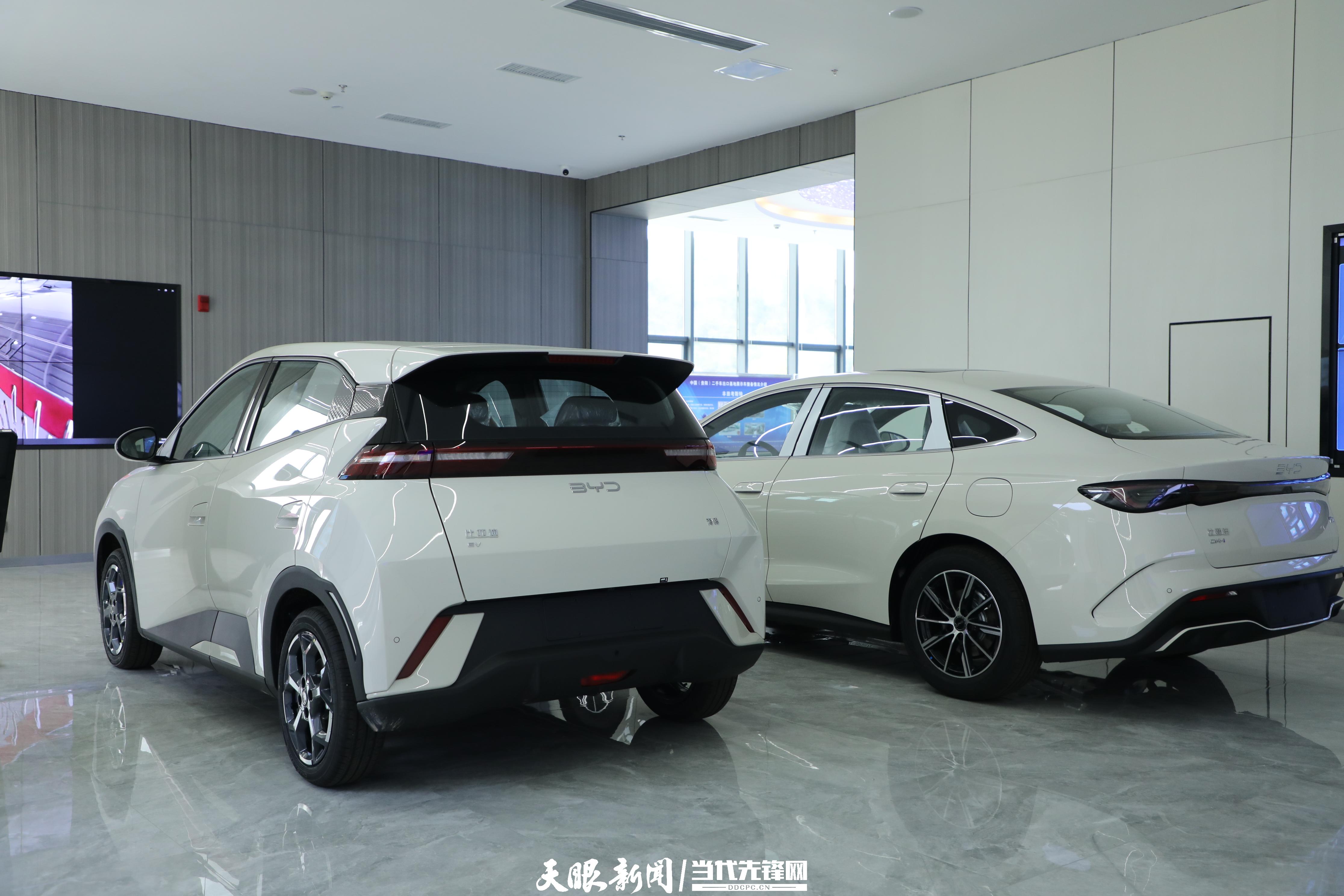 
西安市儿童医院黄牛代挂号电话票贩子号贩子网上预约挂号,住院检查加快,向新黔行·内陆开放高地｜黔货出海，外货入黔！贵州有“方子”也有“路子”