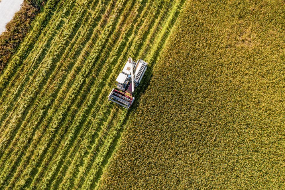 
上海华山医院黄牛代挂号电话票贩子号贩子网上预约挂号,住院检查加快,“确保我国经济航船乘风破浪、行稳致远”——2024年中央经济工作会议侧记