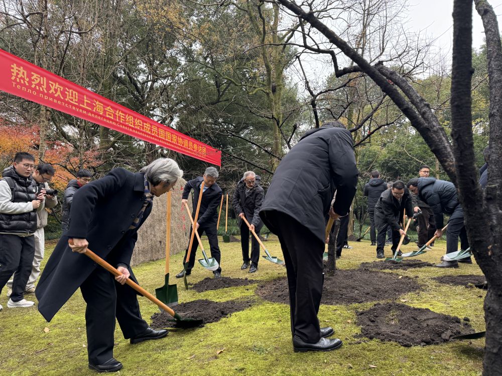 
杭州市一医院黄牛代挂号电话票贩子号贩子网上预约挂号,住院检查加快,新华鲜报|上合组织成员国国家协调员访杭州：期待更多“上合之花”盛放！