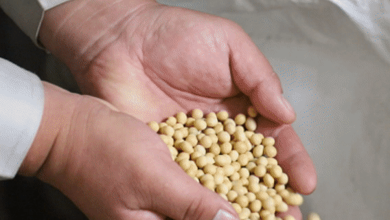 江苏省人民医院黄牛代挂号电话票贩子号贩子网上预约挂号,住院检查加快,【你好,小镇】山西梧桐:追“氢”逐绿