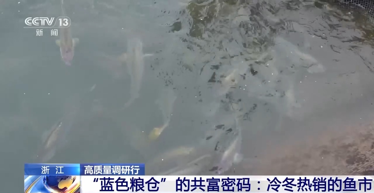 北京协和医院黄牛代挂号电话票贩子号贩子网上预约挂号,住院检查加快,鱼市火热 渔民笑了！解锁“浙”里“蓝色粮仓”的共富密码