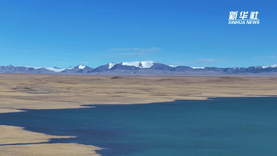 浙江省人民医院黄牛代挂号电话票贩子号贩子网上预约挂号,住院检查加快,冬瞰青藏线|“冰天雪地”的守护色