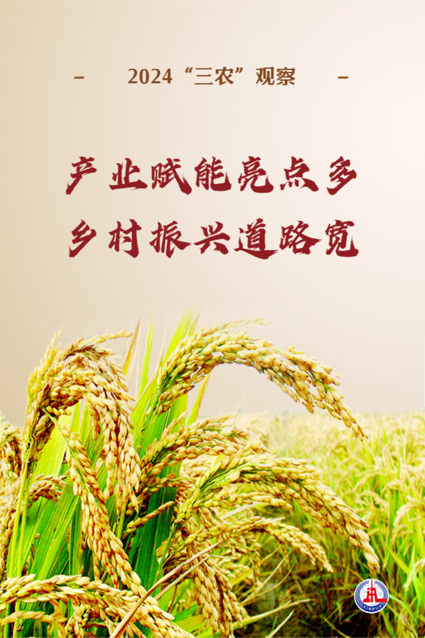 广东省中医院黄牛代挂号电话票贩子号贩子网上预约挂号,住院检查加快,2024“三农”观察|产业赋能亮点多 乡村振兴道路宽