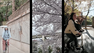 上海儿童医学中心黄牛代挂号电话票贩子号贩子网上预约挂号,住院检查加快,中央经济工作会议听“新”意丨新消费带动新模式