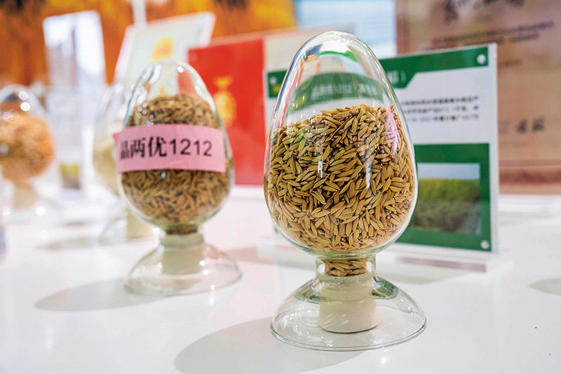 
北京中日友好医院黄牛代挂号电话票贩子号贩子网上预约挂号,住院检查加快,瞭望·治国理政纪事 | 扛稳粮食安全重任