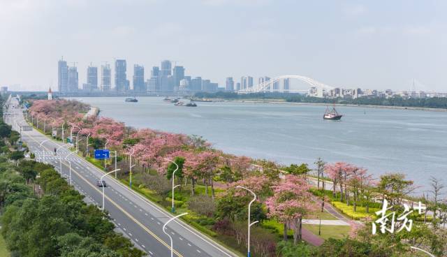 
中国医学科学院北京协和医院黄牛代挂号电话票贩子号贩子网上预约挂号,住院检查加快,澳门回归25年，粤澳为何能成“最佳拍档”？