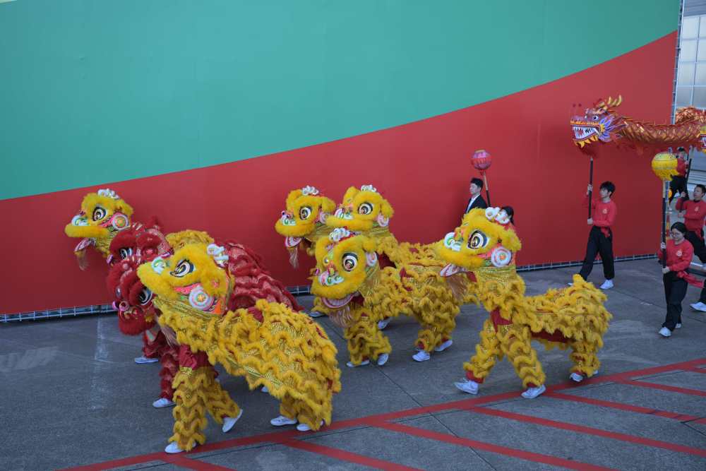 
北京大学人民医院黄牛代挂号电话票贩子号贩子网上预约挂号,住院检查加快,高清大图丨习近平抵达澳门受到热烈欢迎