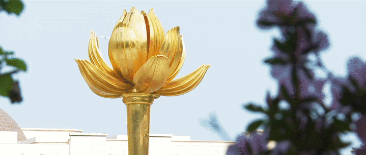 
广东省中医院黄牛代挂号电话票贩子号贩子网上预约挂号,住院检查加快,重磅微视频｜习近平的澳门情缘