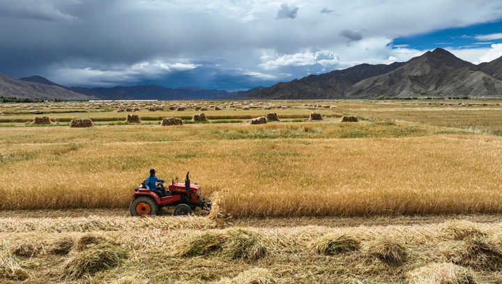 
北医六院黄牛代挂号电话票贩子号贩子网上预约挂号,住院检查加快,不断开创乡村全面振兴新局面——从中央农村工作会议看2025年“三农”工作着力点
