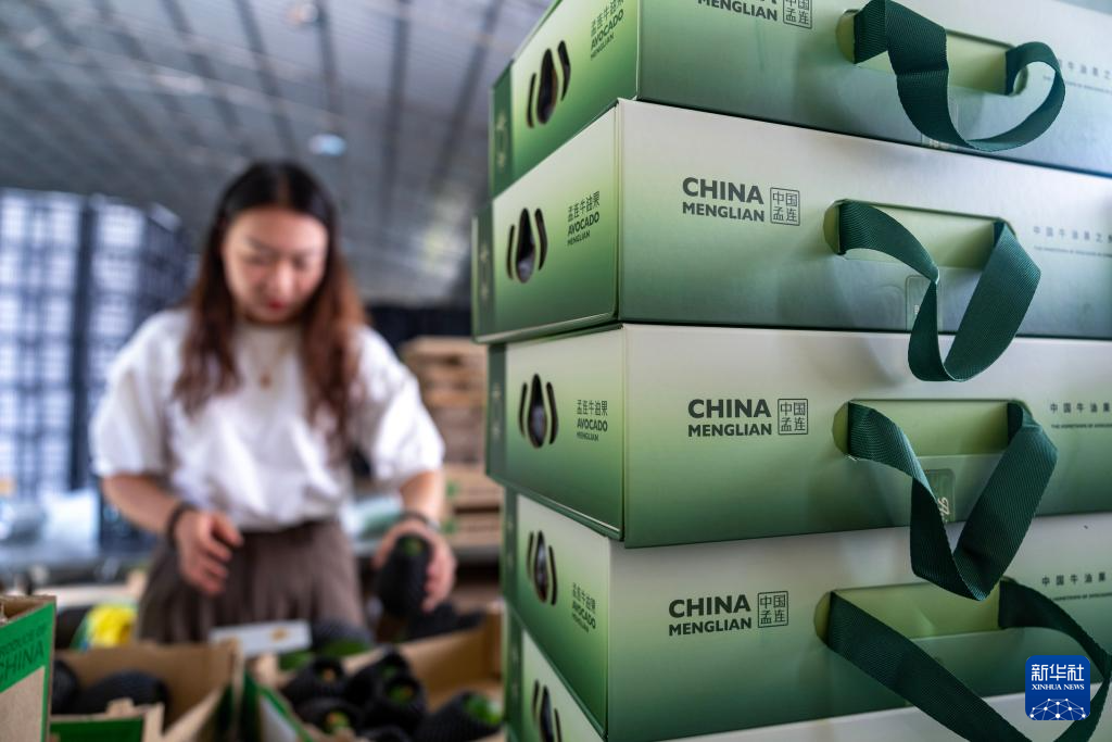 
上海儿童医院黄牛代挂号电话票贩子号贩子网上预约挂号,住院检查加快,中国经济样本观察·县域样本篇丨这座西南小城，改变了“牛油果靠进口”的历史