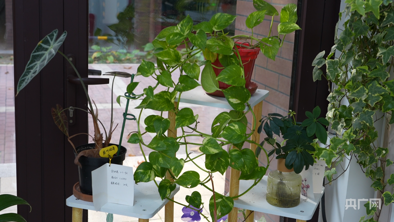 
南京各大医院黄牛代挂号电话票贩子号贩子网上预约挂号,住院检查加快,幸福河湖海丨巧开“千把锁” “小巷总理”托起家门口的幸福