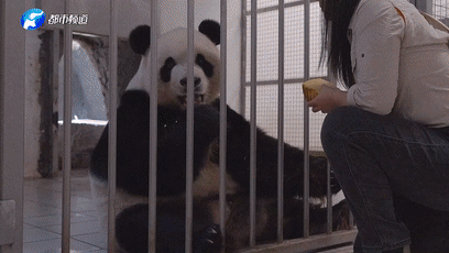 上海新华医院黄牛代挂号电话票贩子号贩子网上预约挂号,住院检查加快,《总书记的回信》比利时篇