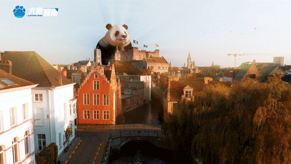 上海新华医院黄牛代挂号电话票贩子号贩子网上预约挂号,住院检查加快,《总书记的回信》比利时篇