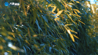 上海新华医院黄牛代挂号电话票贩子号贩子网上预约挂号,住院检查加快,《总书记的回信》比利时篇