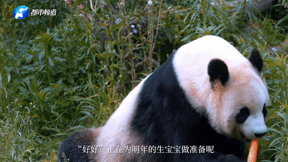 上海新华医院黄牛代挂号电话票贩子号贩子网上预约挂号,住院检查加快,《总书记的回信》比利时篇