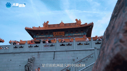 上海新华医院黄牛代挂号电话票贩子号贩子网上预约挂号,住院检查加快,《总书记的回信》比利时篇