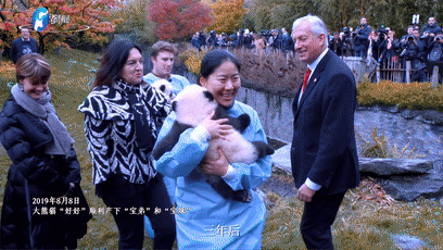 上海新华医院黄牛代挂号电话票贩子号贩子网上预约挂号,住院检查加快,《总书记的回信》比利时篇