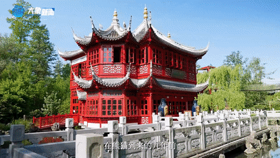 上海新华医院黄牛代挂号电话票贩子号贩子网上预约挂号,住院检查加快,《总书记的回信》比利时篇