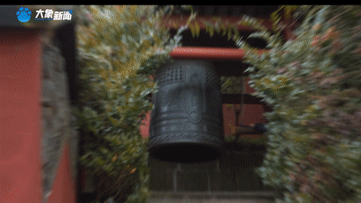 上海新华医院黄牛代挂号电话票贩子号贩子网上预约挂号,住院检查加快,《总书记的回信》比利时篇