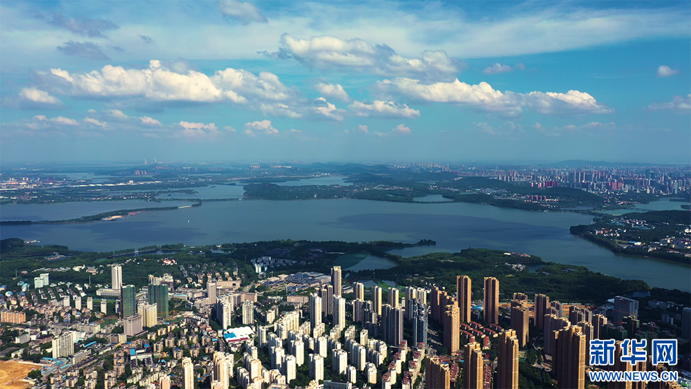 北京妇产医院黄牛代挂号电话票贩子号贩子网上预约挂号,住院检查加快,聚焦高质量发展丨武汉:逐“绿”而动 不断提升“含绿量”