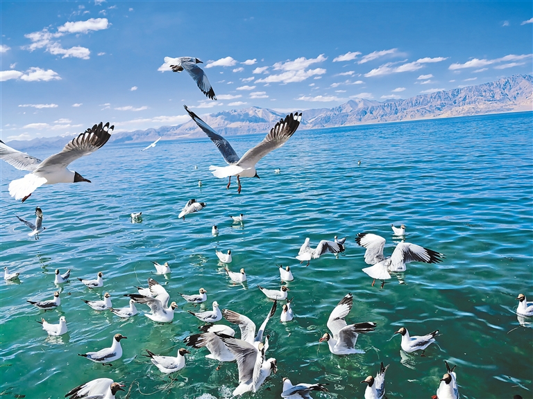 
北京妇产医院黄牛代挂号电话票贩子号贩子网上预约挂号,住院检查加快,逐绿前行 向美发展