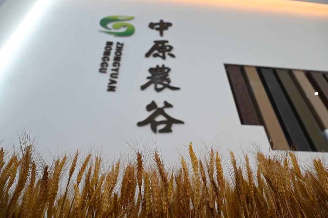 
儿研所医院黄牛号贩子票贩子代网上预约代挂号电话高质量发展调研行｜河南中原农谷：一粒种子，无限生机