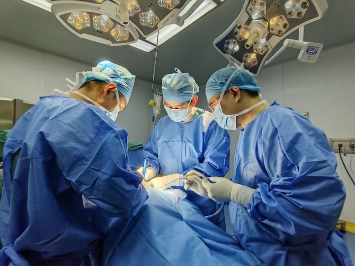 
北京空军总医院黄牛代挂号电话票贩子号贩子网上预约挂号,住院检查加快,奏响区域协调发展“三重奏”——广东“百千万工程”建设见闻