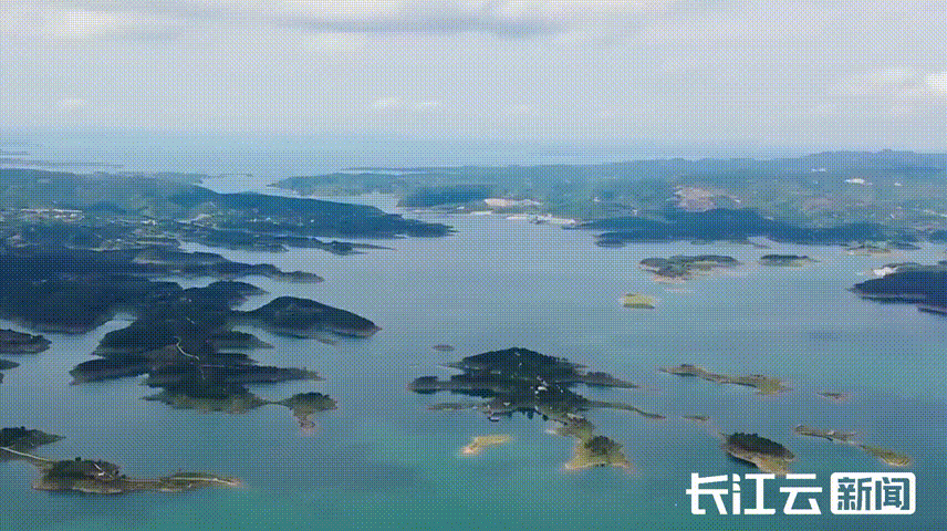 
北京阜外医院黄牛代挂号电话票贩子号贩子网上预约挂号,住院检查加快,牢记总书记的嘱托丨奋楫争先 勇挑大梁