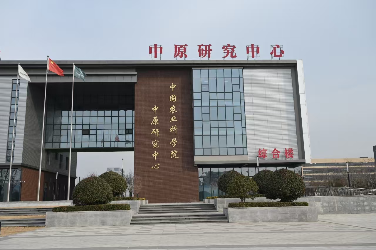 
儿研所医院黄牛号贩子票贩子代网上预约代挂号电话高质量发展调研行｜河南中原农谷：一粒种子，无限生机