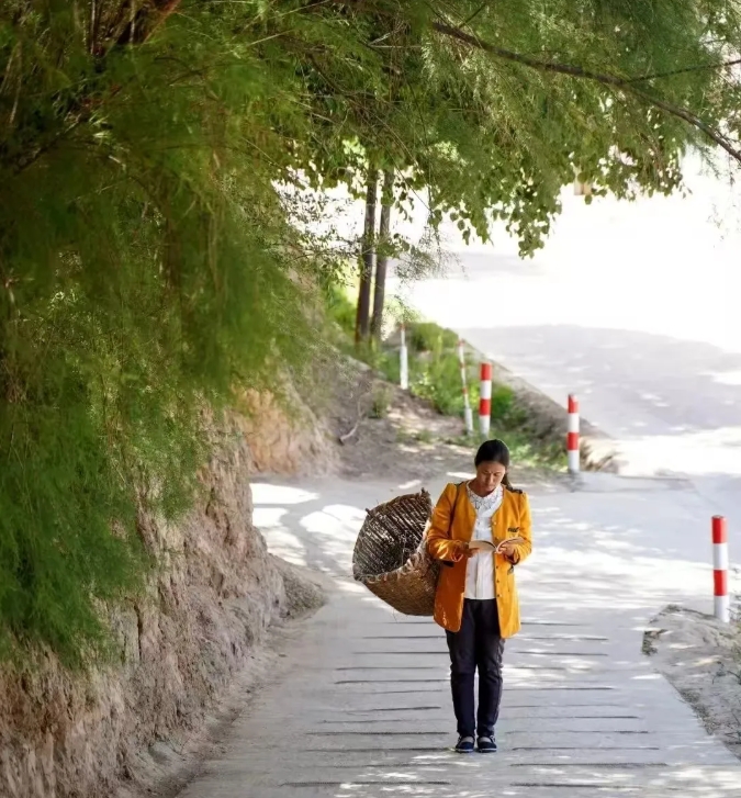 
长春吉大二院黄牛代挂号电话票贩子号贩子网上预约挂号,住院检查加快,你好，小花！