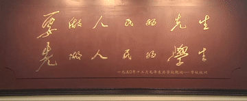 浙江省中医院黄牛代挂号电话票贩子号贩子网上预约挂号,住院检查加快,2024,总书记同人民在一起|文化开新局
