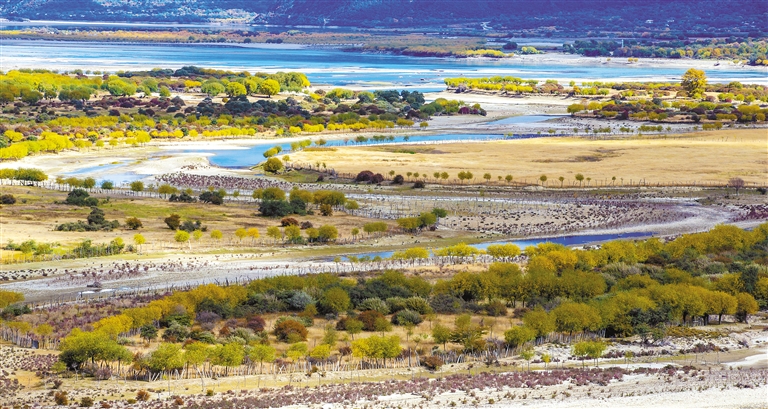 
北京妇产医院黄牛代挂号电话票贩子号贩子网上预约挂号,住院检查加快,逐绿前行 向美发展