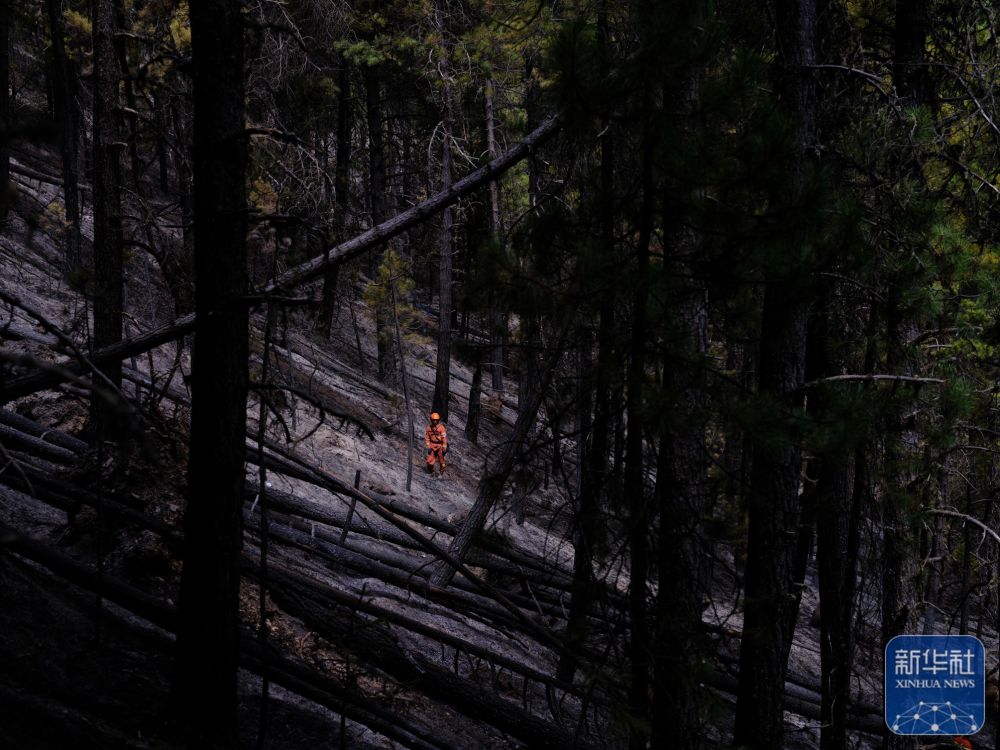 
上海精神卫生中心黄牛代挂号电话票贩子号贩子网上预约挂号,住院检查加快,我的光影故事2024｜火场硬汉