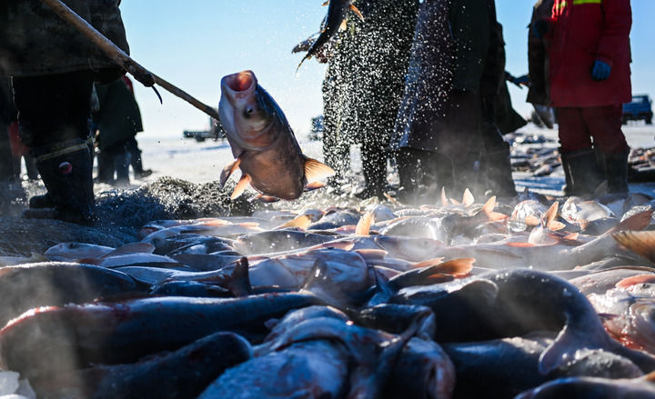 
北京大学第三医院黄牛代挂号电话票贩子号贩子网上预约挂号,住院检查加快,新华走笔|当冰雪遇见文化