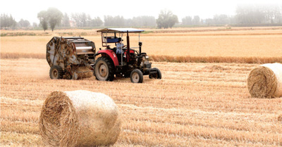 
首都医科大学附属阜外医院黄牛代挂号电话票贩子号贩子网上预约挂号,住院检查加快,从冬种冬管一线看农业生产之变（年终策划·抓牢抓实粮食生产）