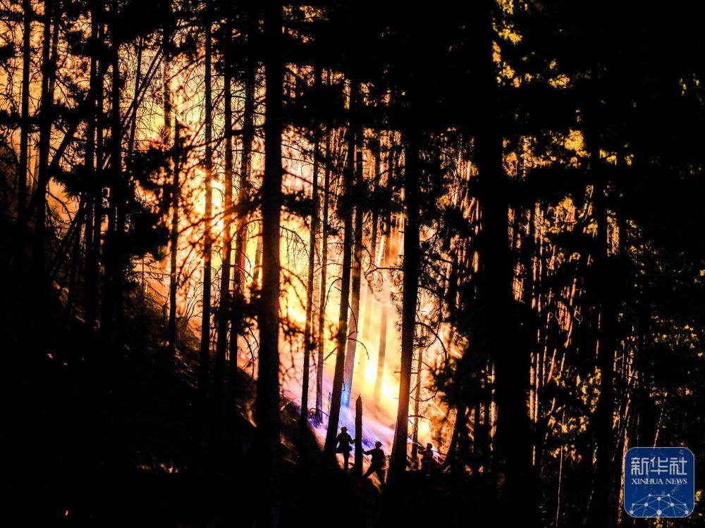 
上海精神卫生中心黄牛代挂号电话票贩子号贩子网上预约挂号,住院检查加快,我的光影故事2024｜火场硬汉