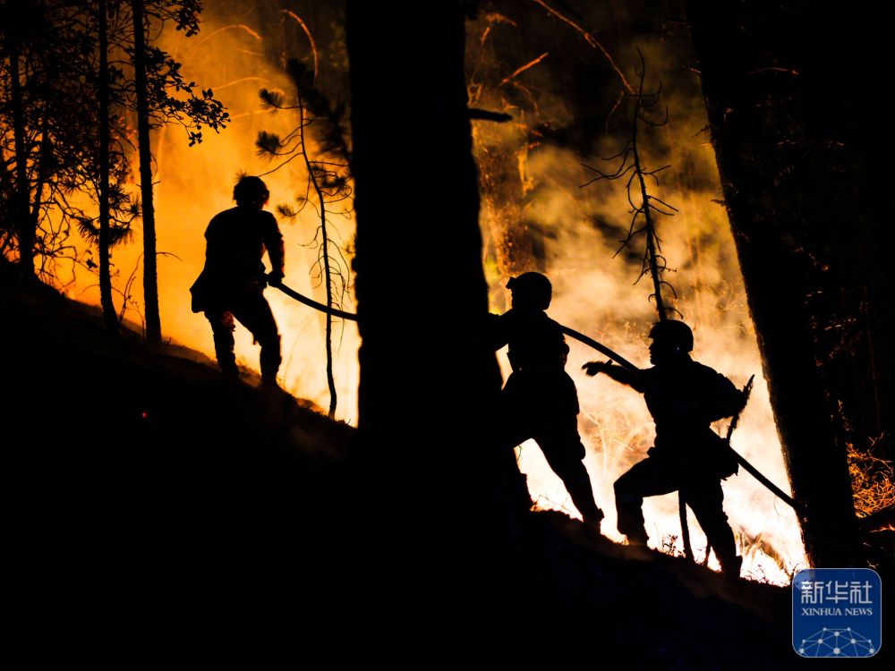 
上海精神卫生中心黄牛代挂号电话票贩子号贩子网上预约挂号,住院检查加快,我的光影故事2024｜火场硬汉