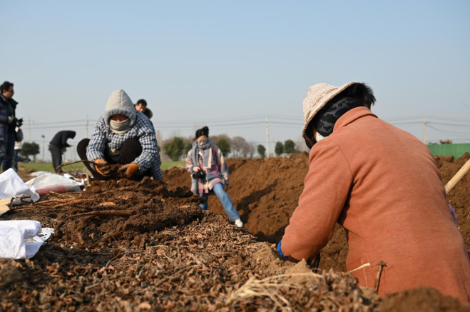 
天津儿童医院黄牛代挂号电话票贩子号贩子网上预约挂号,住院检查加快,高质量发展调研行|河南焦作：一“老”一“新”看发展