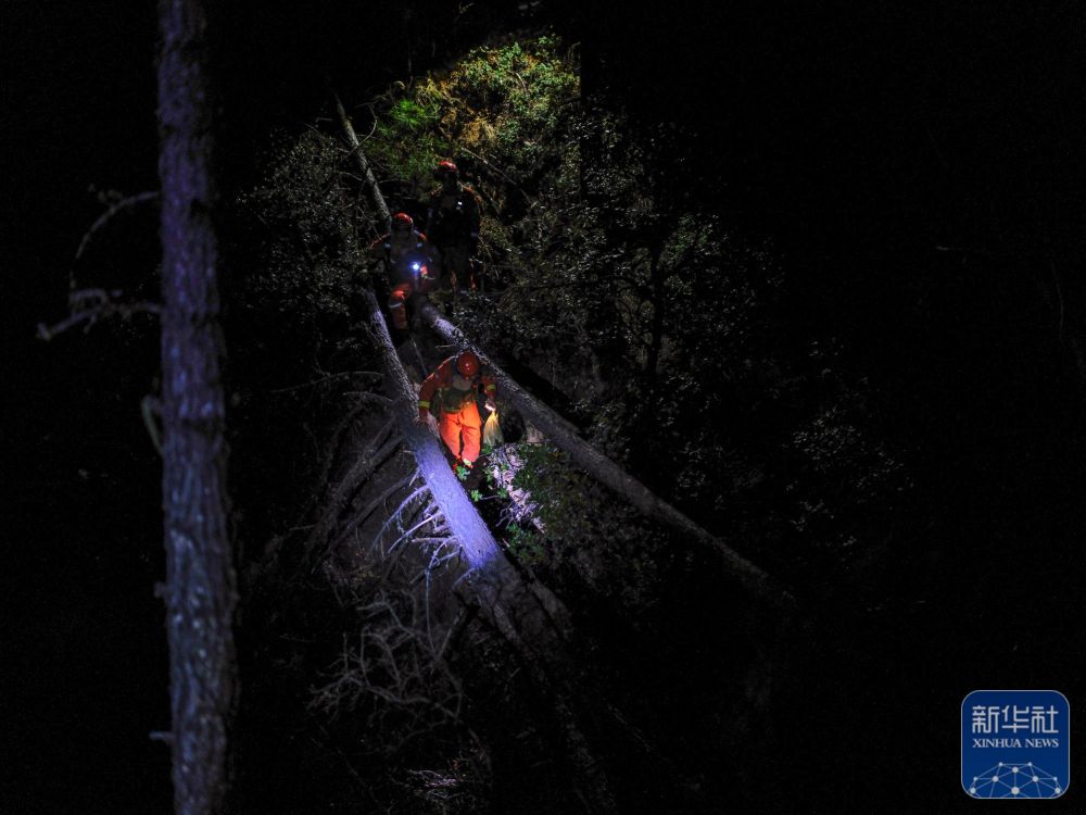 
上海精神卫生中心黄牛代挂号电话票贩子号贩子网上预约挂号,住院检查加快,我的光影故事2024｜火场硬汉