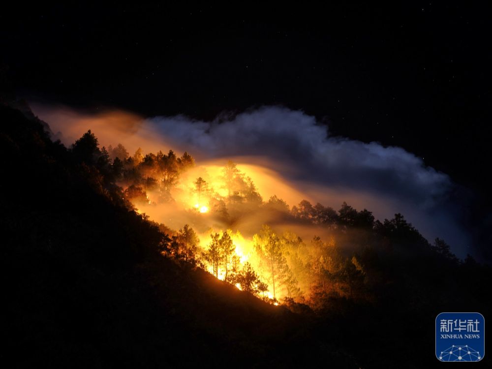 
上海精神卫生中心黄牛代挂号电话票贩子号贩子网上预约挂号,住院检查加快,我的光影故事2024｜火场硬汉