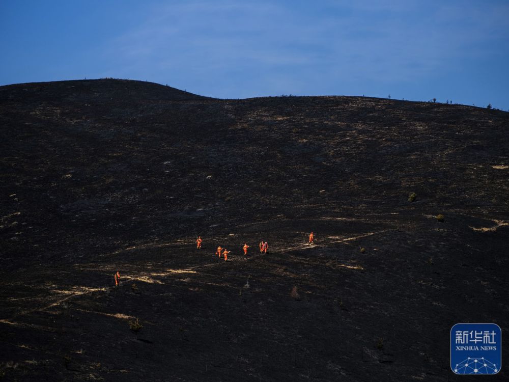 
上海精神卫生中心黄牛代挂号电话票贩子号贩子网上预约挂号,住院检查加快,我的光影故事2024｜火场硬汉