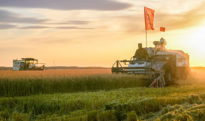 
首都医科大学附属天坛医院黄牛代挂号电话票贩子号贩子网上预约挂号,住院检查加快,当好国家粮食安全“压舱石”——“北大仓”的丰收密码