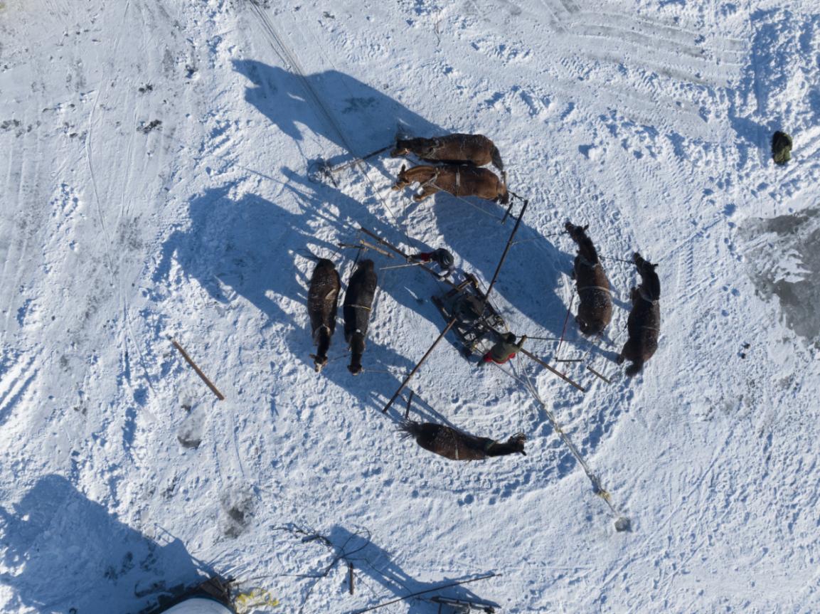 
中国医学科学院肿瘤医院黄牛代挂号电话票贩子号贩子网上预约挂号,住院检查加快,观长白丨吉林查干湖渔猎，何以一传千年