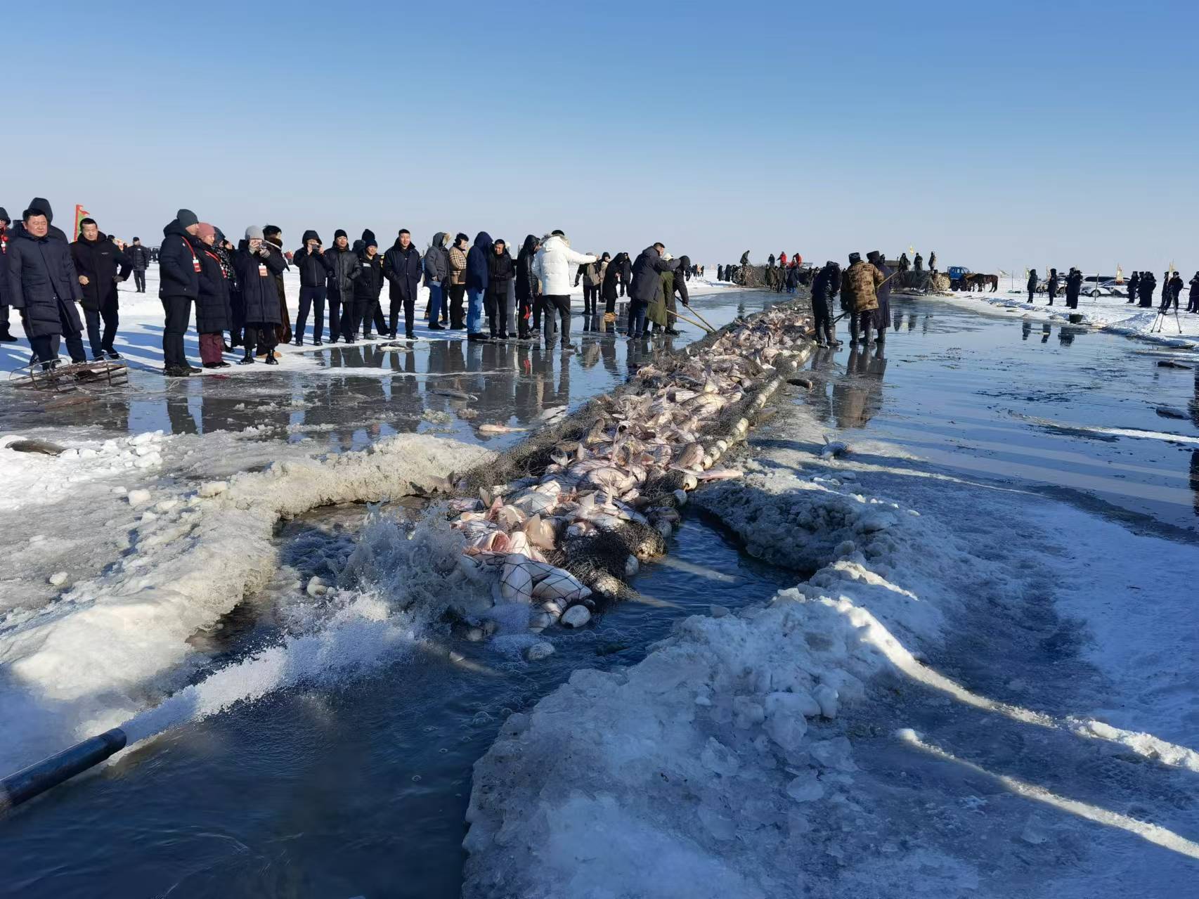 
中国医学科学院肿瘤医院黄牛代挂号电话票贩子号贩子网上预约挂号,住院检查加快,观长白丨吉林查干湖渔猎，何以一传千年