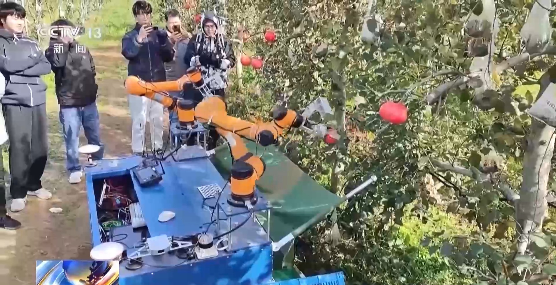 
东直门医院黄牛代挂号电话票贩子号贩子网上预约挂号,住院检查加快,2024年终经济观察丨迈上新台阶 我国粮食产量首次突破1.4万亿斤