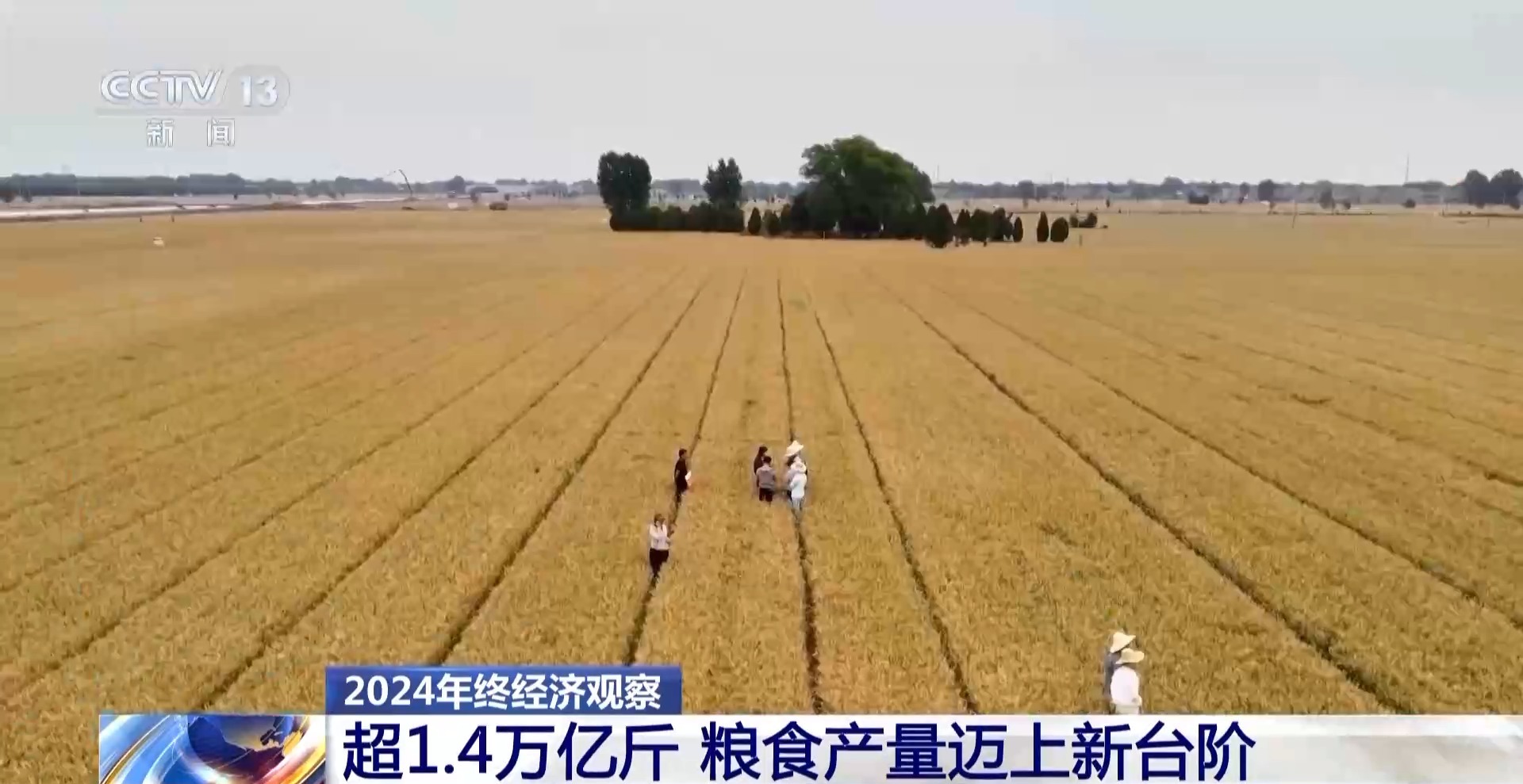 
东直门医院黄牛代挂号电话票贩子号贩子网上预约挂号,住院检查加快,2024年终经济观察丨迈上新台阶 我国粮食产量首次突破1.4万亿斤