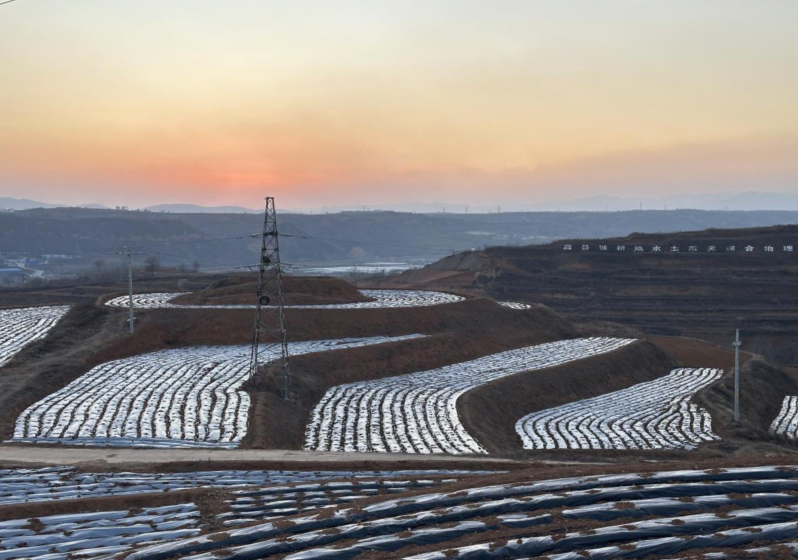 杭州市妇幼保健院黄牛代挂号电话票贩子号贩子网上预约挂号,住院检查加快,高质量发展调研行|河南中原药谷:草木千味药,万亩致富田