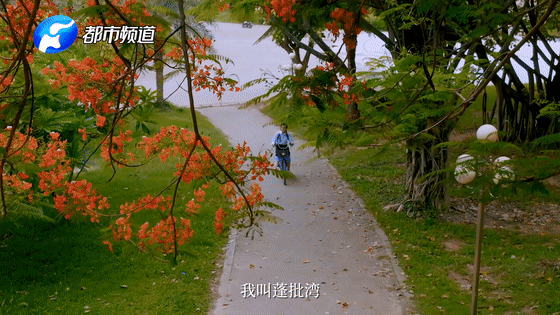 首都医科大学附属北京口腔医院黄牛代挂号电话票贩子号贩子网上预约挂号,住院检查加快,《总书记的回信》老挝篇